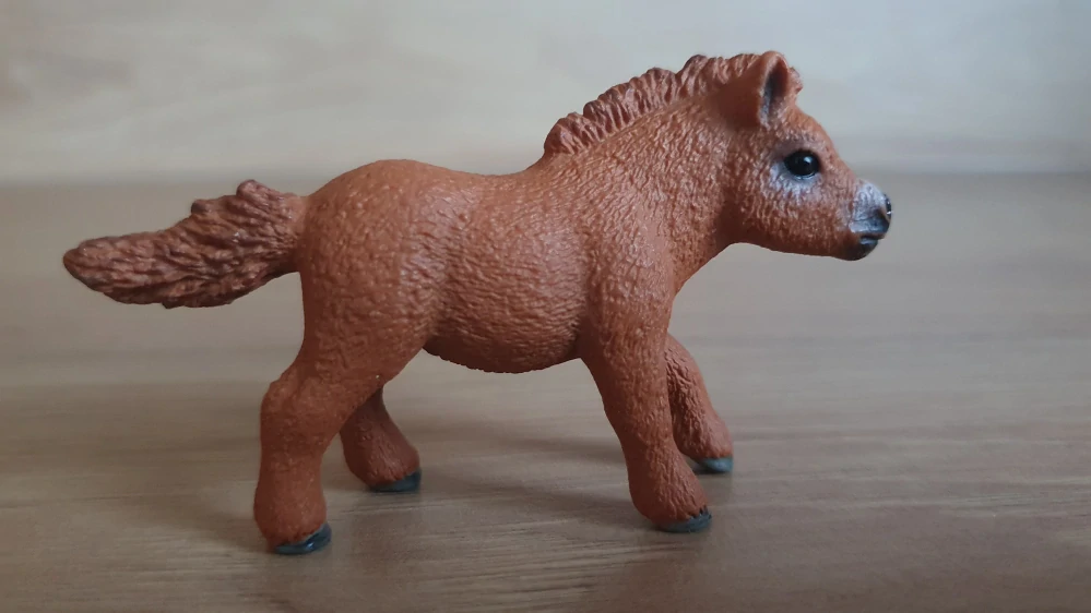 Shetlandský poník 13777, model 2014