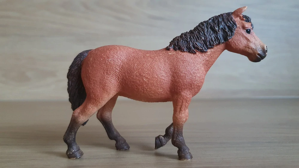 Dartmoorský poník 13873, model 2017