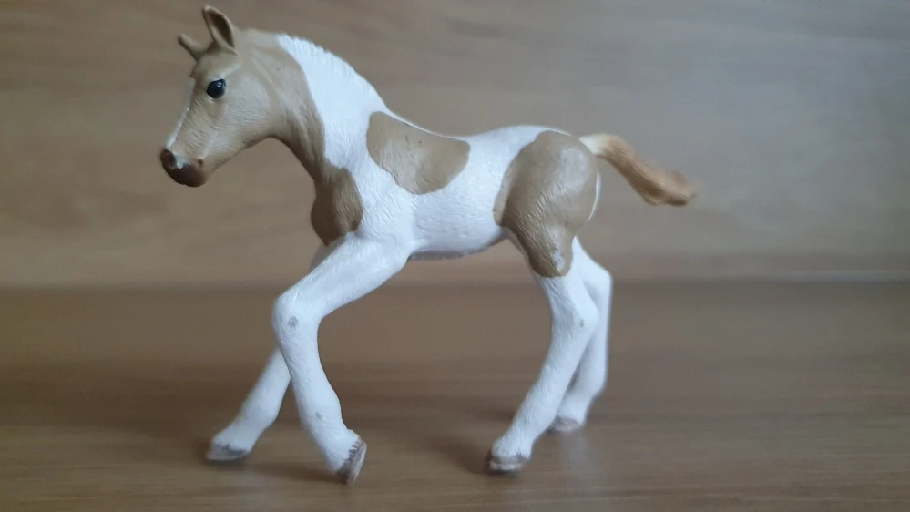 Paint hříbě 13886, model 2018