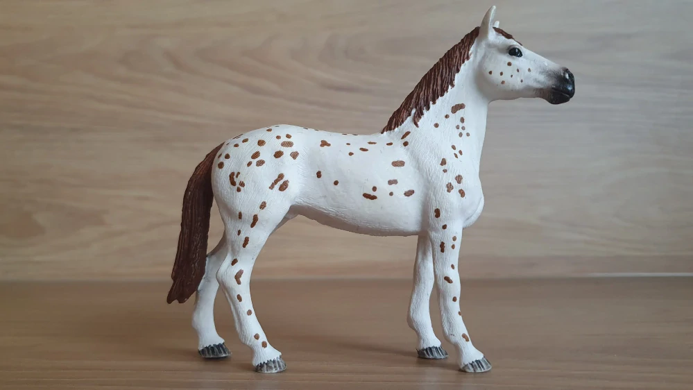 Appaloosa hřebec 42433, model 2017