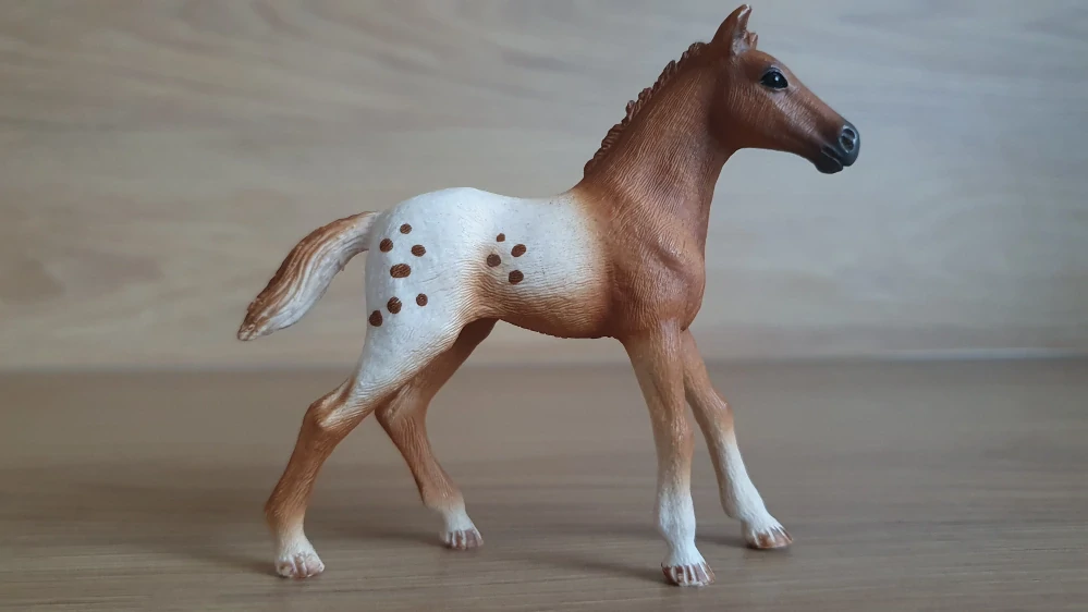 Appaloosa hříbě 42433, model 2017