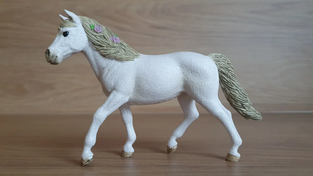 Connemarská pony klisna 42467, model 2017