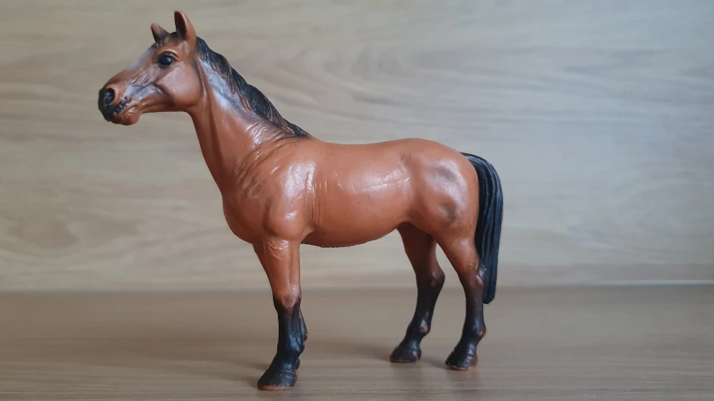 Trakehnerská klisna 13261, model 2001