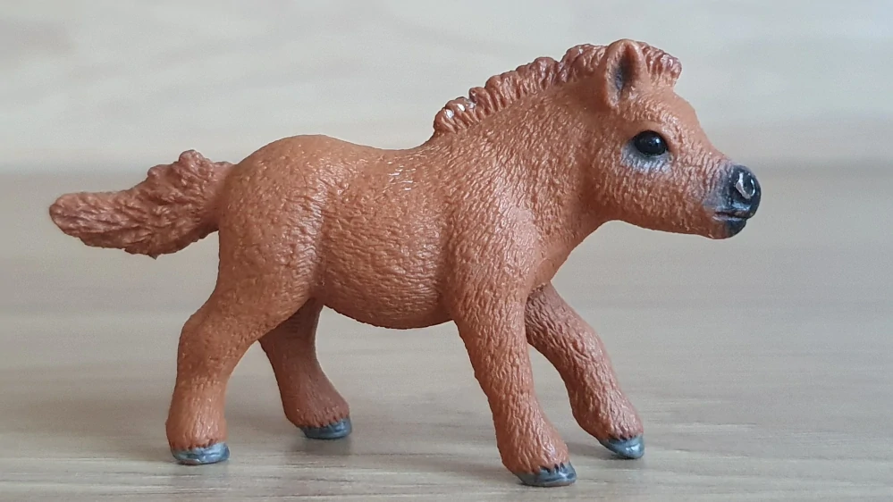 Shetlandský poník 13777, model 2014