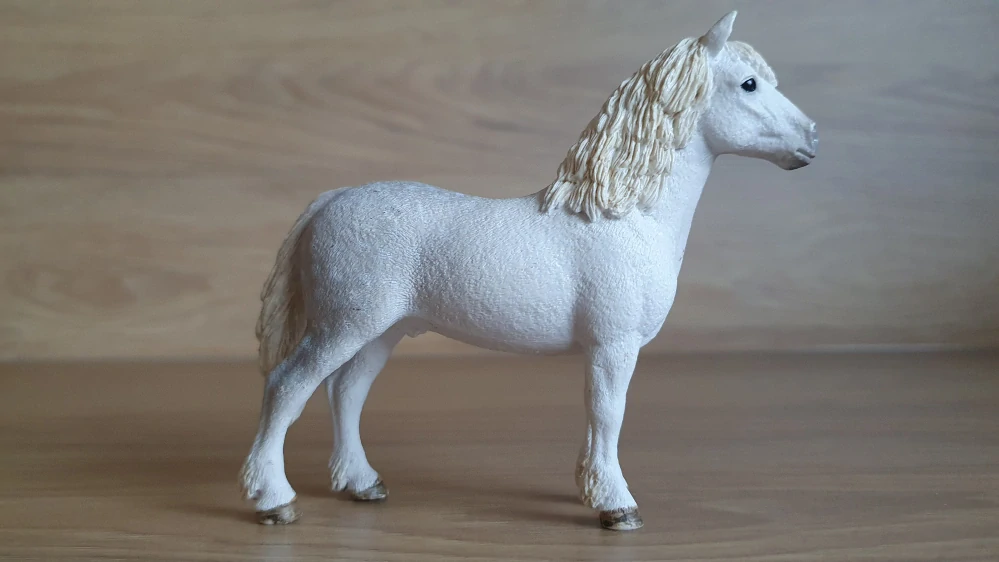 Welšský poník hřebec 13871, model 2017