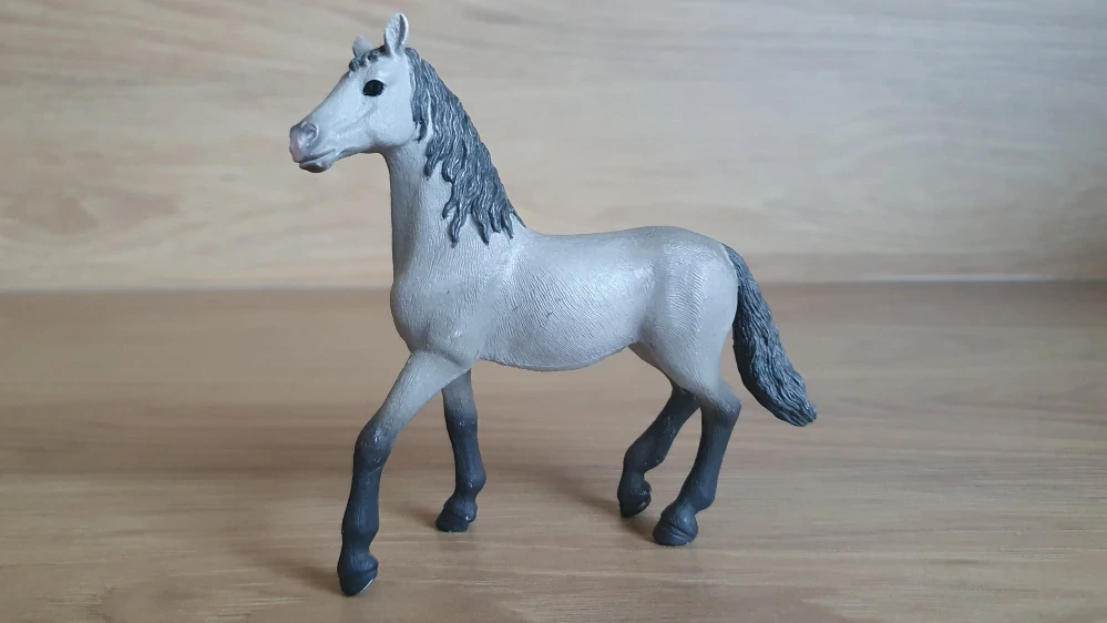 Španělská Pura Raza 13924, model 2020