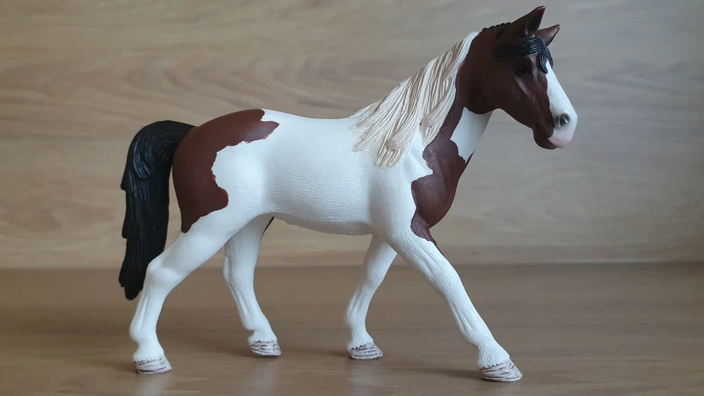 tennessee walker klisna 42441, model 2016