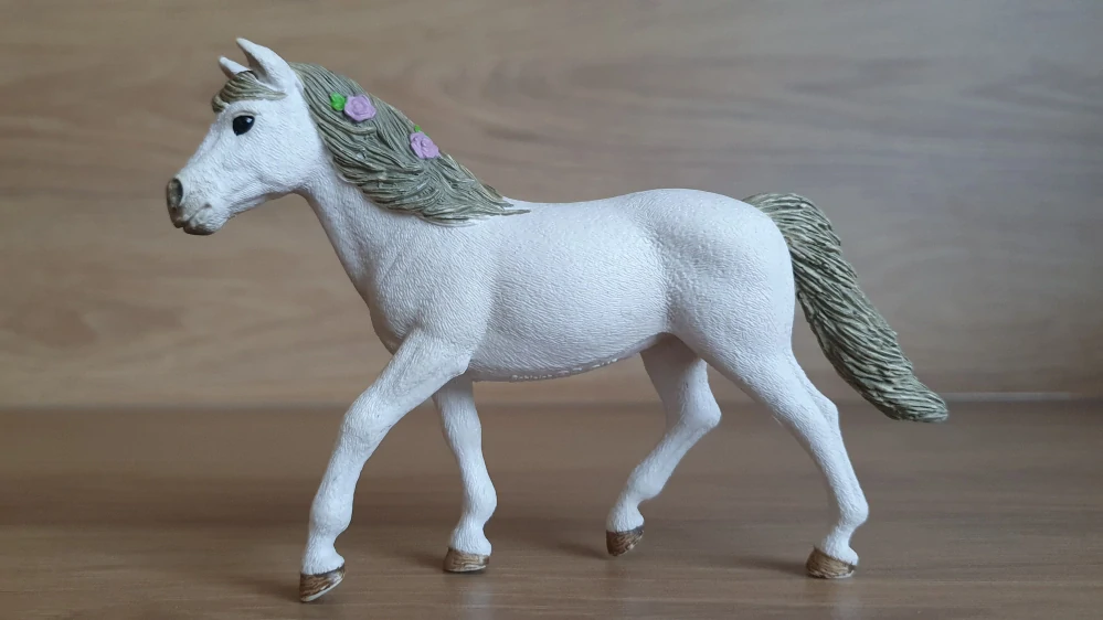 Connemarská pony klisna 42467, model 2017