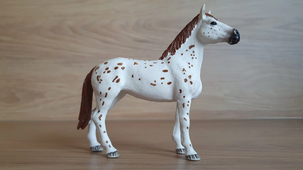 Appaloosa hřebec 42433, model 2017