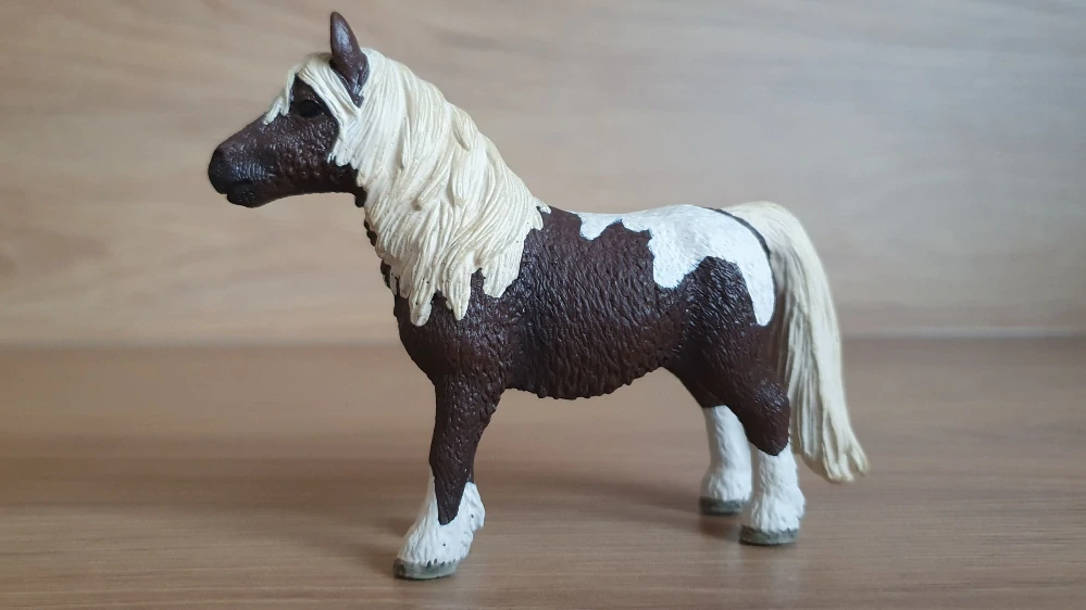 Shetlandský poník valach 13751, model 2009