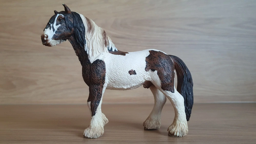 hřebec Tinker 13625, model 2007