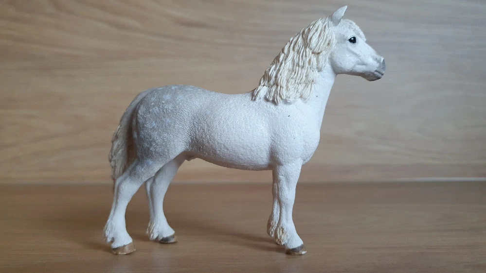 Velšský poník hřebec 13871, model 2017