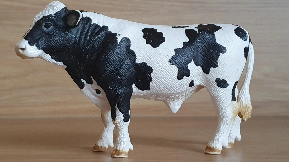 býk holštýnský 13632, model 2007
