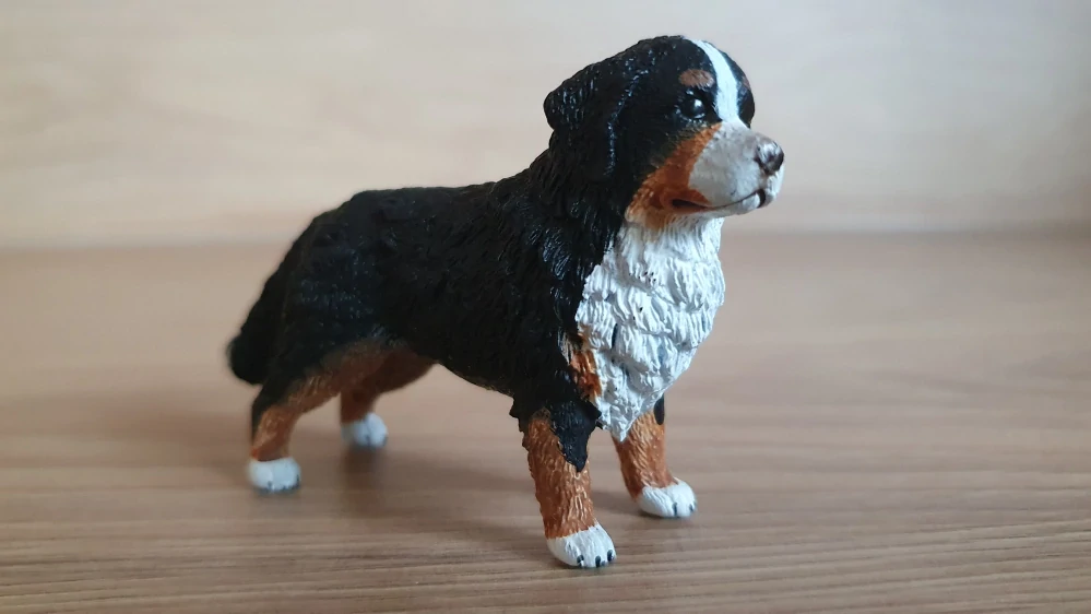 Bernský salašnický pes 16397, model 2013