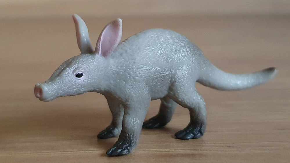 Hrabáč kapský 14863, model 2022