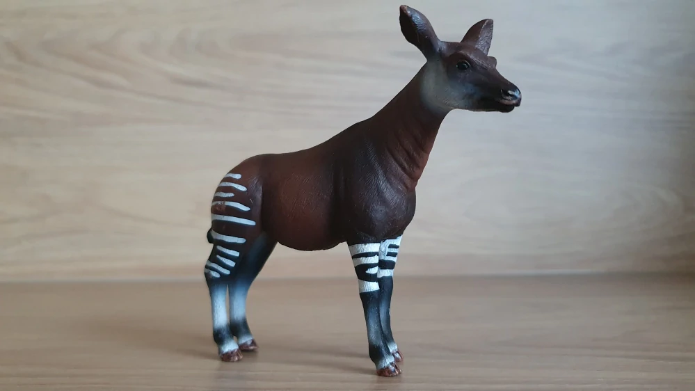 okapi 14830, model 2018