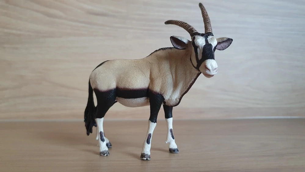 antilopa Oryx 14759, model 2015