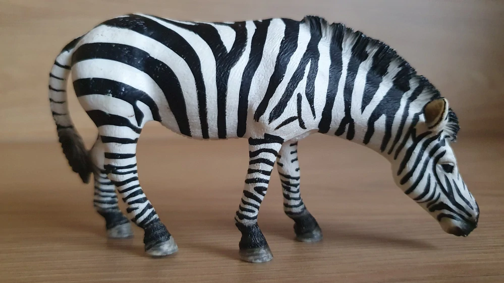 zebra krmící se 14609, model 2009