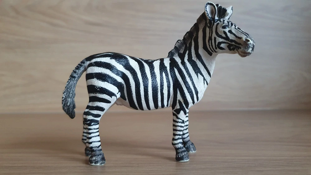 zebra 14391, model 2008