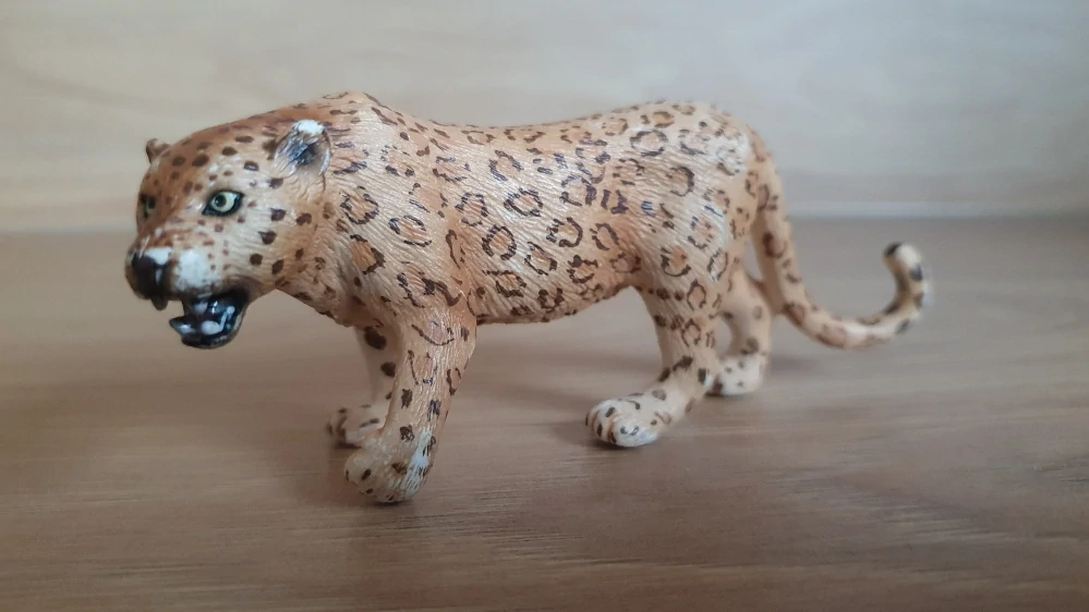 leopard 14360, model 2006