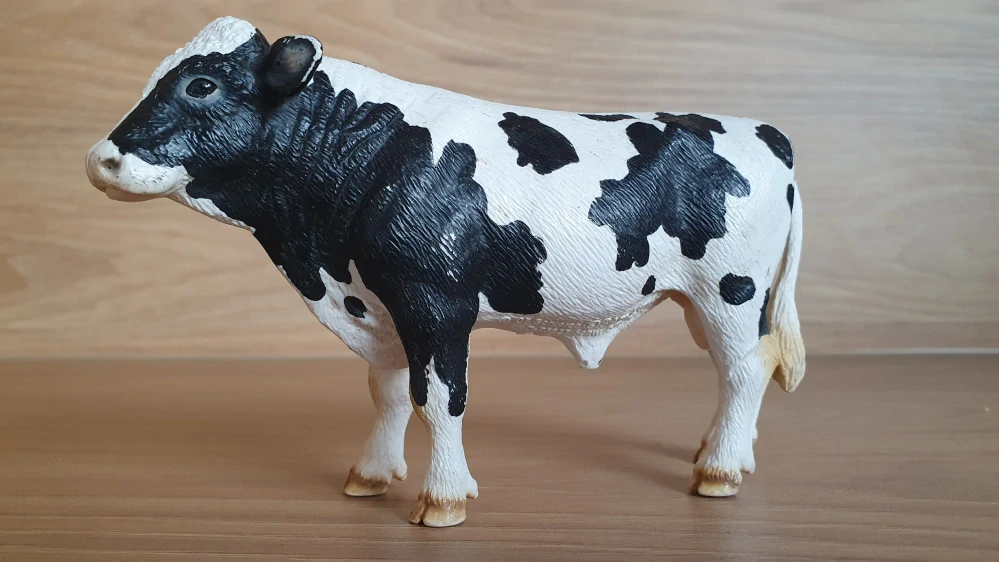 býk holštýnský 13632, model 2007