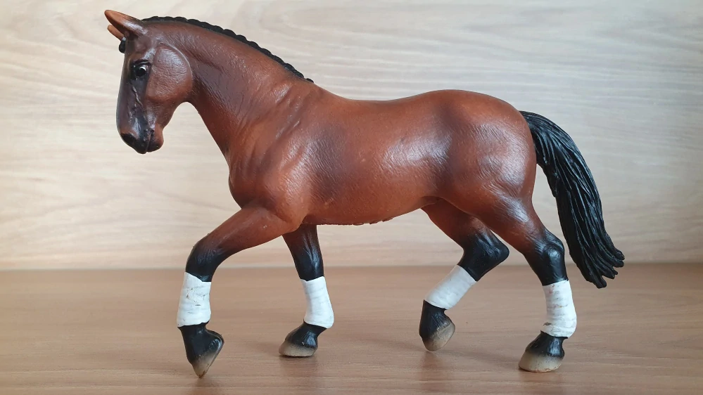Hanoverská klisna 13296, model 2004