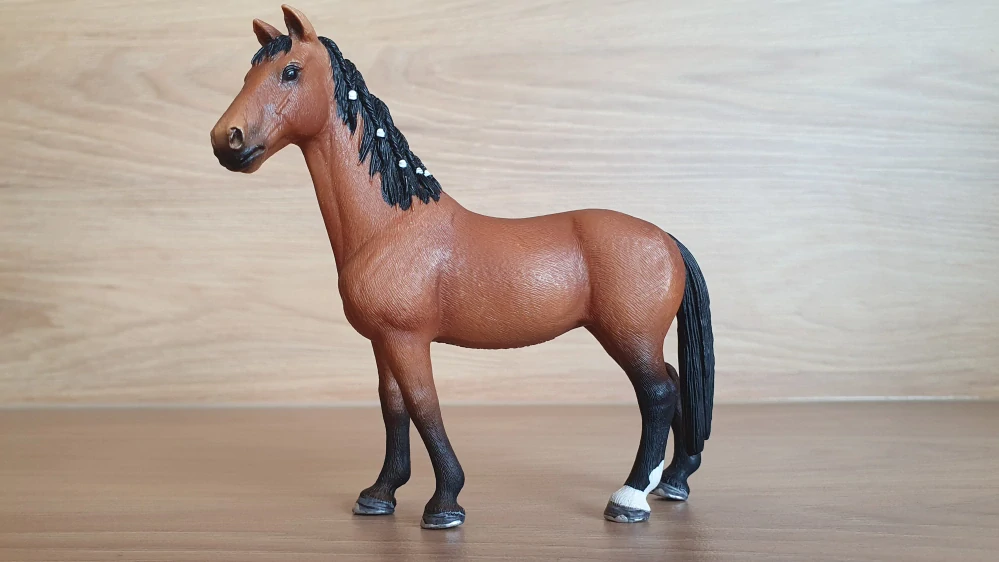 Trakehner klisna 13757, model 2013