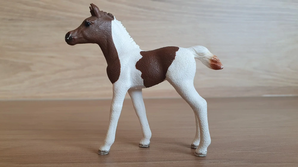 Pintabiian hříbě 13839, model 2016