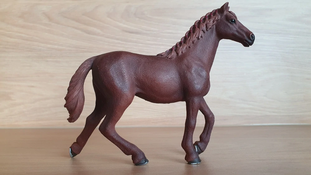 Anglický plnokrevník klisna 13855, model 2016