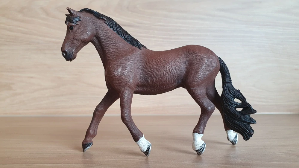 Trakehner valach 13909, model 2019
