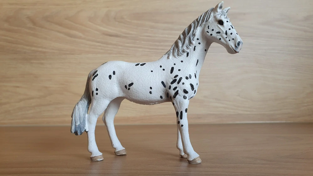 Knabstrupperská klisna 13910, model 2019