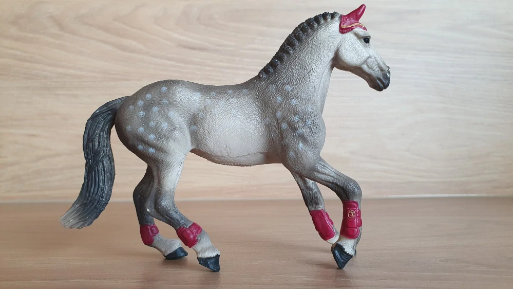 Trakehner klisna 42456, model 2018