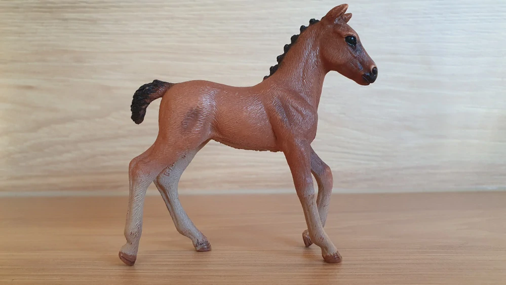 Hanoverské hříbě hříbě 13818, model 2016