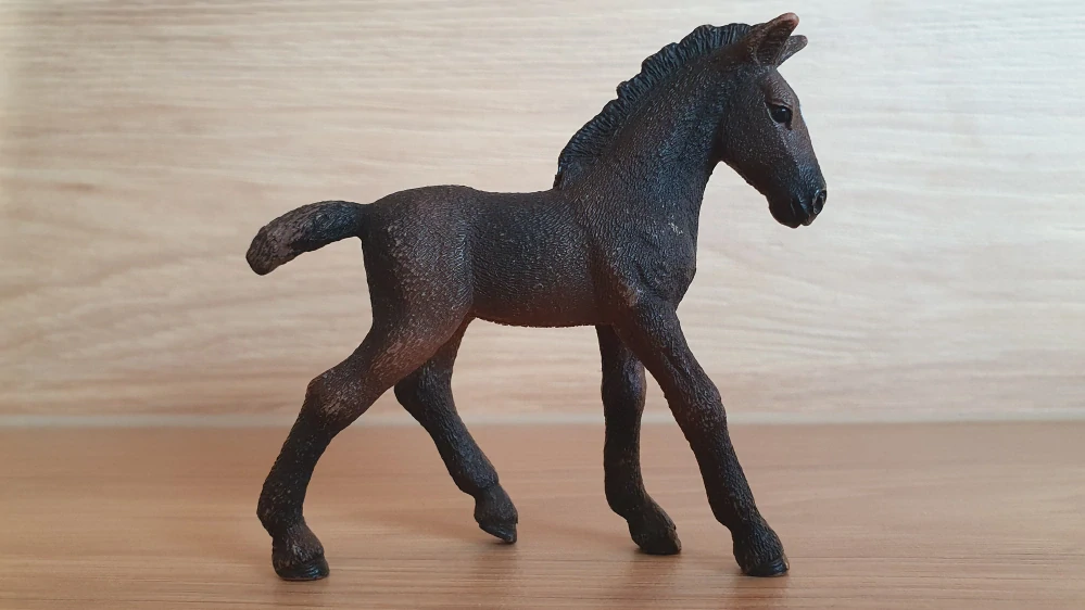 Lipicánské hříbě 13820, model 2016