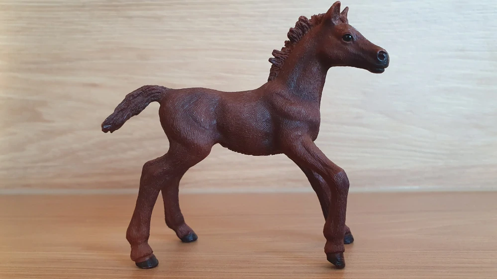Anglický plnokrevník hříbě 13857, model 2016