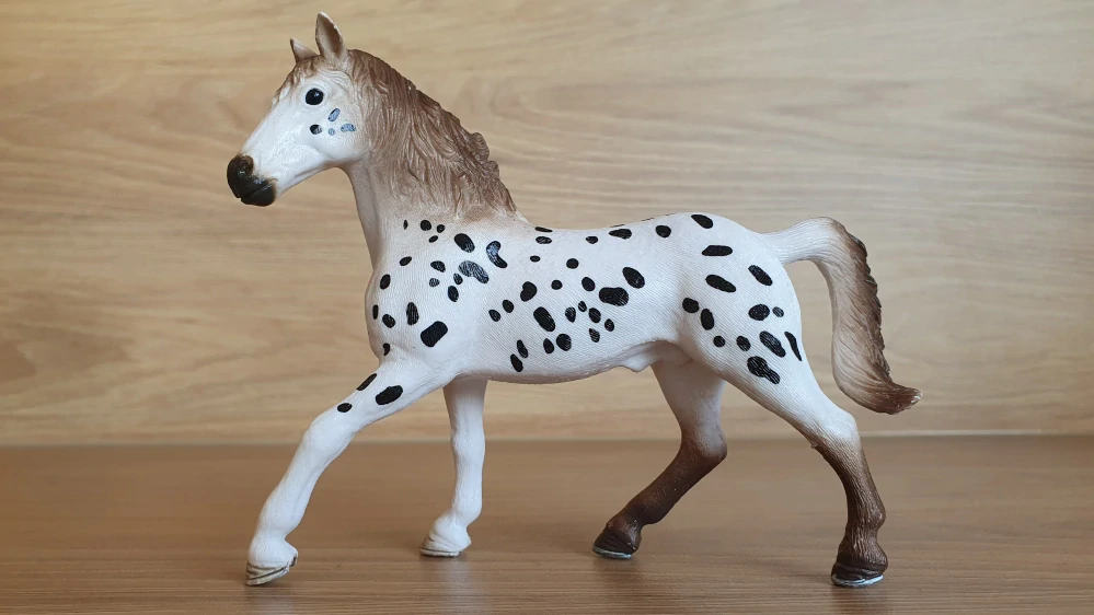knabstrupperský hřebec 13889, model 2018