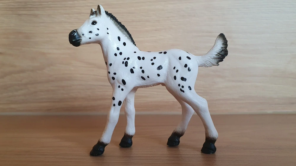 Knabstrupperské hříbě 13890, model 2018