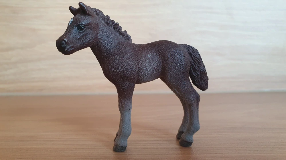 hříbě dartmoorského poníka 42423, model 2017