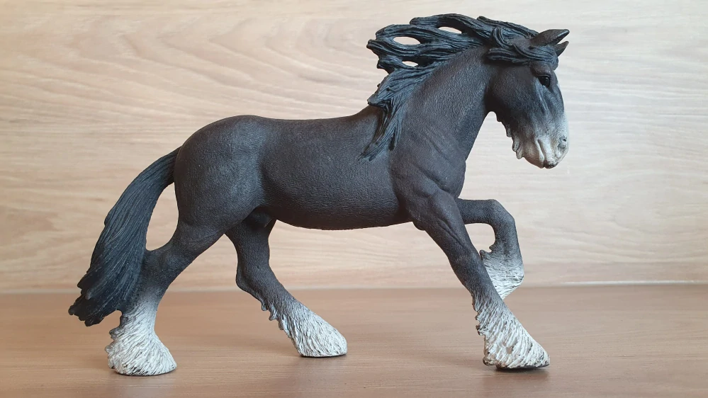 Hřebec shirský 13734, model 2012