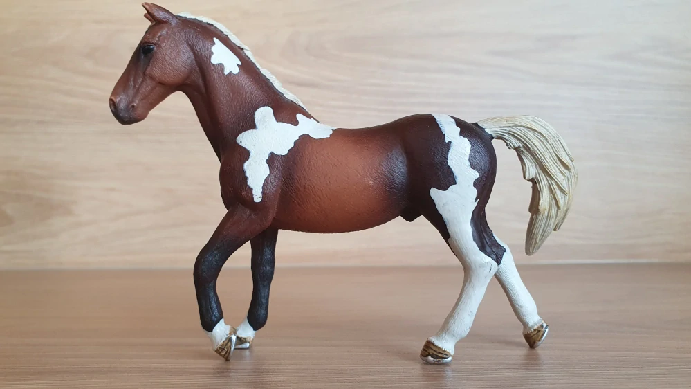 Hřebec Trakehnerský 13756, model 2013