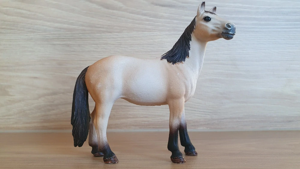 Klisna Mustanga 13806, model 2015