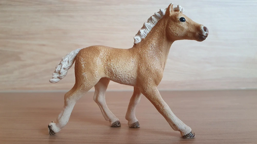 Haflingerské hříbě 13814, model 2015
