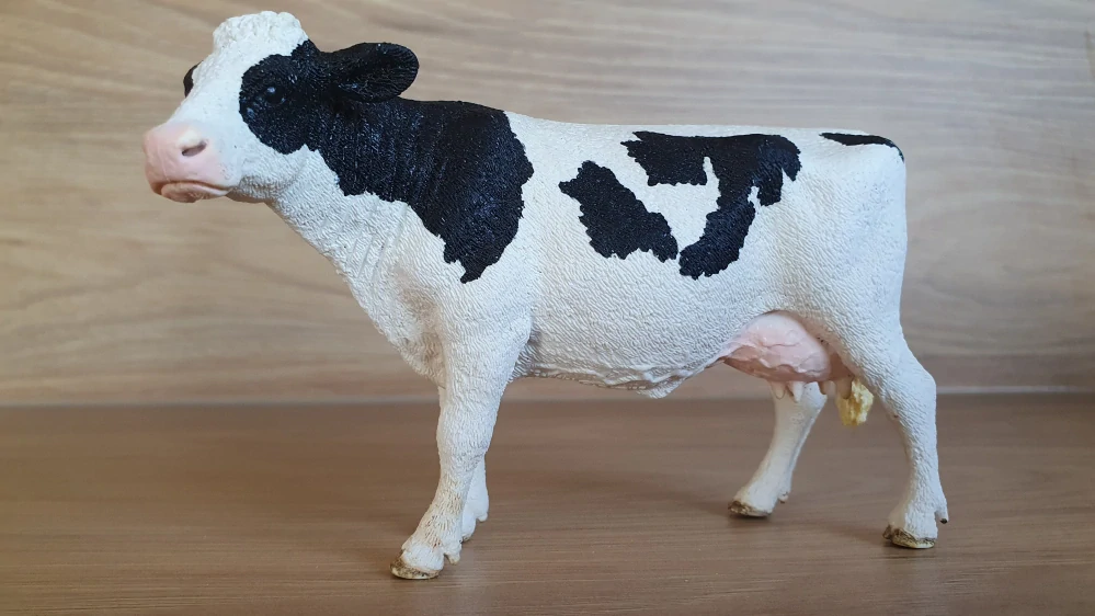 kráva holštýnská 13797, model 2015