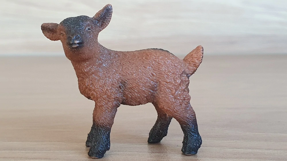 kůzle hnědé 13829, model 2016