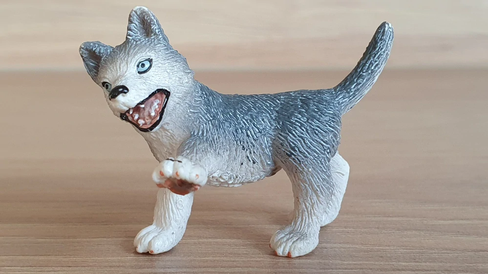 husky štěně 16373, model 2007