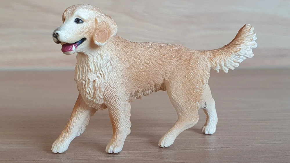 zlatý retrívr fena 16395, model 2013