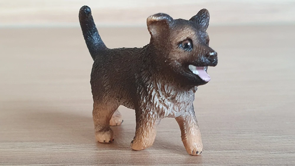 Německý ovčák štěně 16832, model 2014