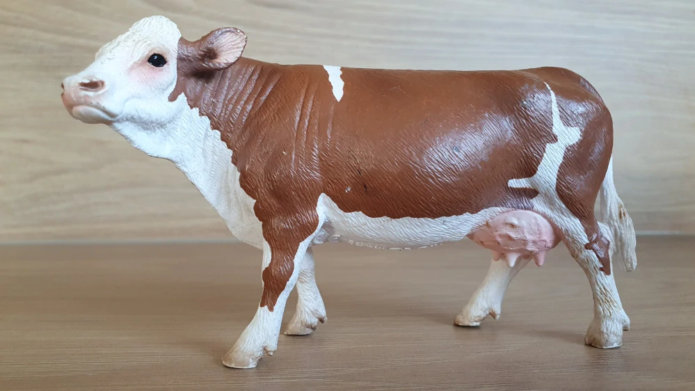 kráva Simmentálská 13641, model 2008