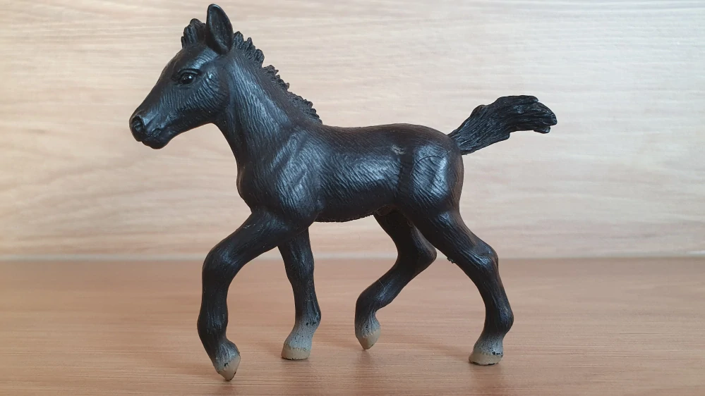 Lipicán hříbě 13294, model 2004