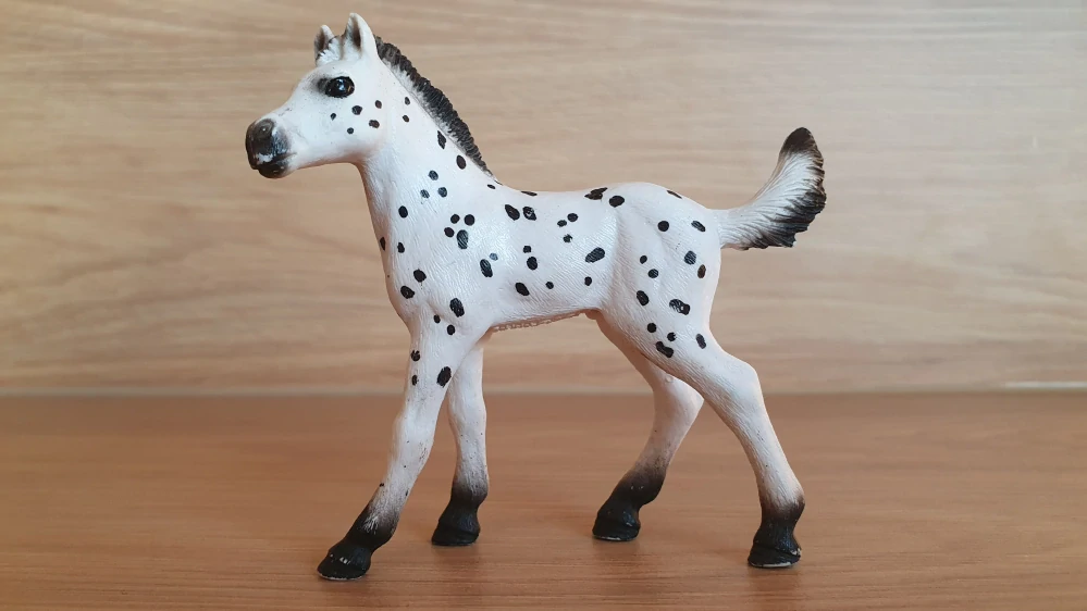 Knabstrupperské hříbě 13890, model 2018